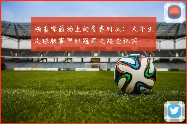 湖南绿茵场上的青春对决:大学生足球联赛甲组冠军之路全纪实