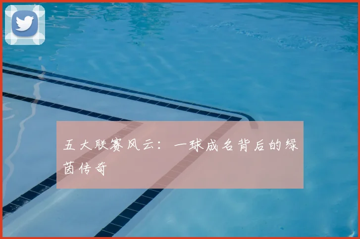 五大联赛风云：一球成名背后的绿茵传奇