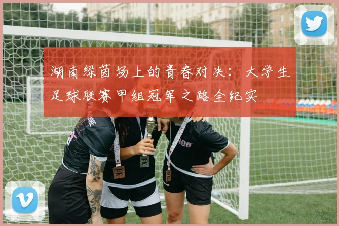 湖南绿茵场上的青春对决:大学生足球联赛甲组冠军之路全纪实