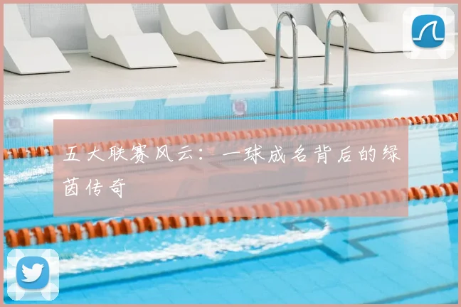 五大联赛风云:一球成名背后的绿茵传奇